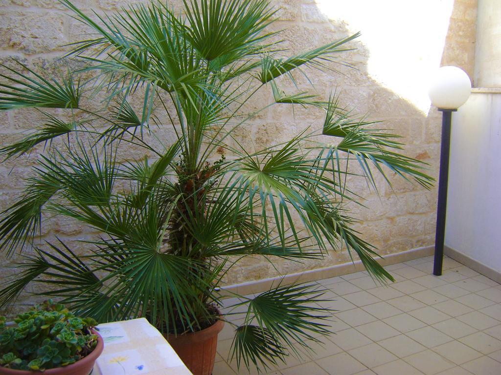 B&B Aquila Alberobello Exteriör bild